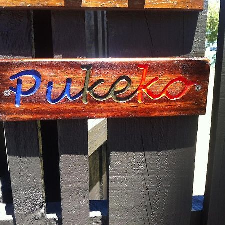 Appartement Pukeko On Bay à Tauranga Extérieur photo