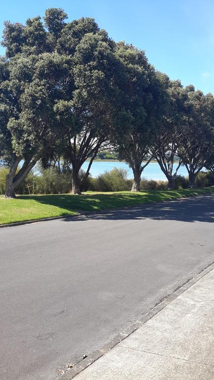 Appartement Pukeko On Bay à Tauranga Extérieur photo